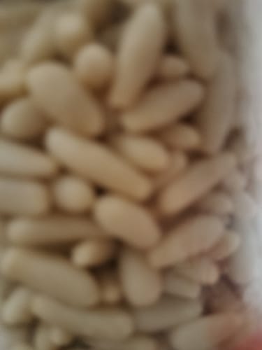 Customer photo review of Pinoli della Costa Pisana - 500g
