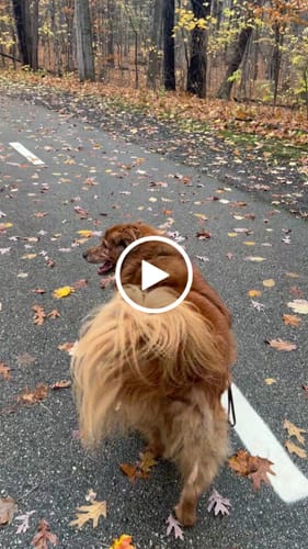 Customer video review of Freedom Joint Drops