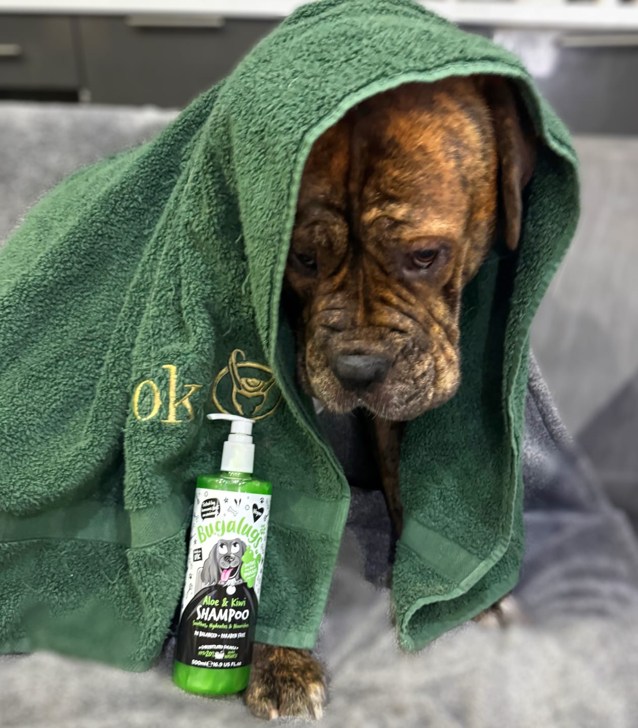 Customer photo review of Aloe & Kiwi Soothing Dog Shampoo