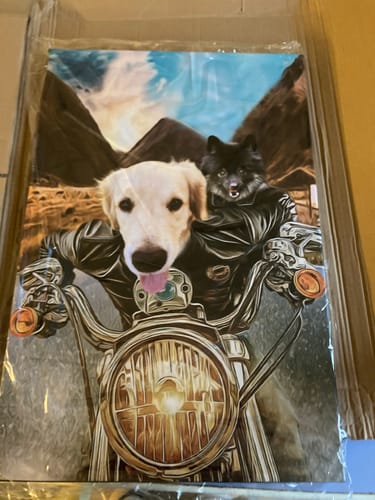 Customer photo review of Portrait Animaux Motards