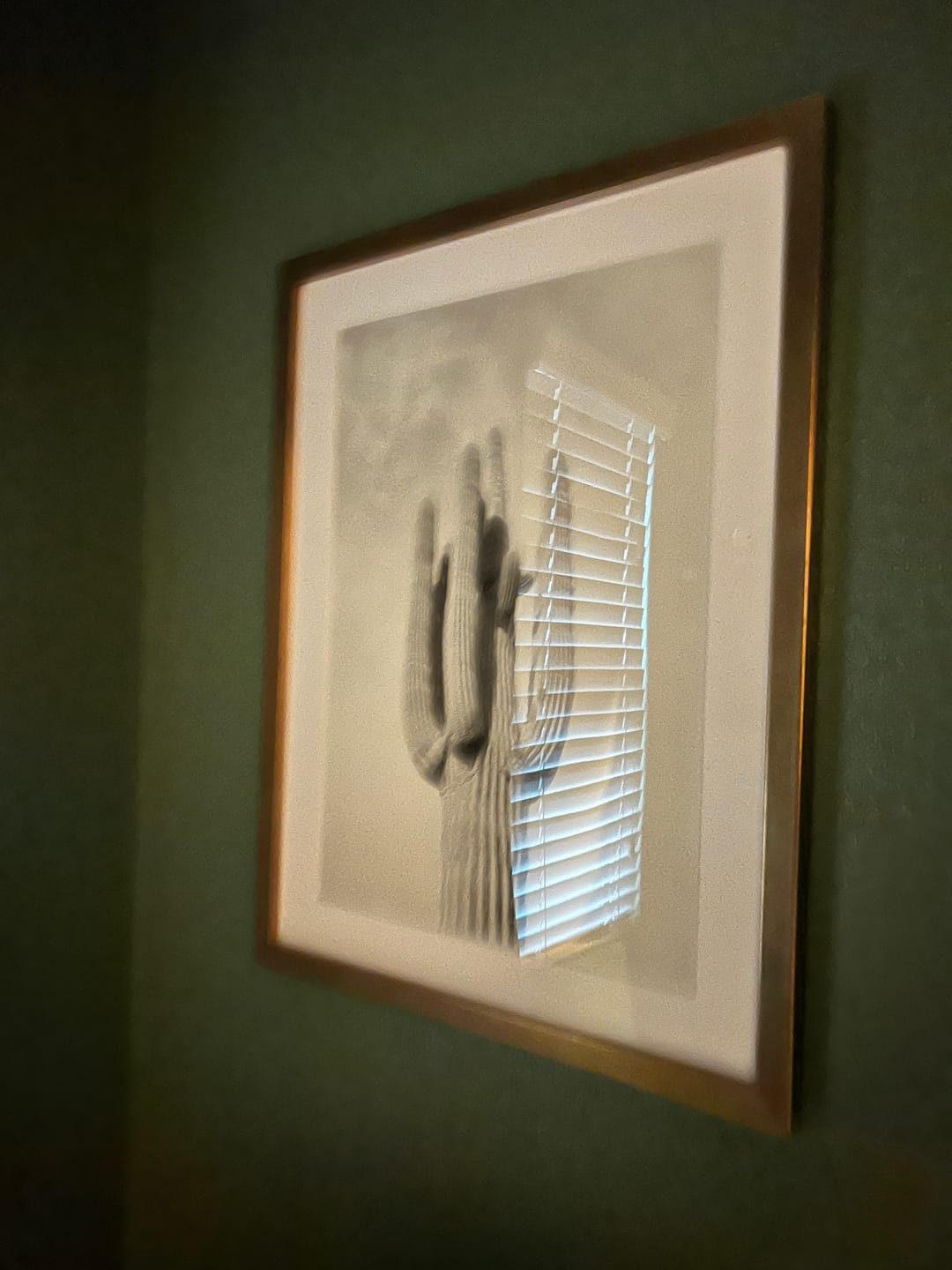 Customer photo review of El Saguaro II
