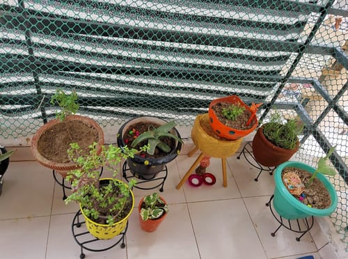 Customer photo review of UnitedCrafts Dion Round Pot Stand/High-Quality Stands (Black)