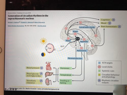 Customer photo review of WHIRLATOR® WTC-241 Wasserhahn-Wirbler (Messing verchromt)