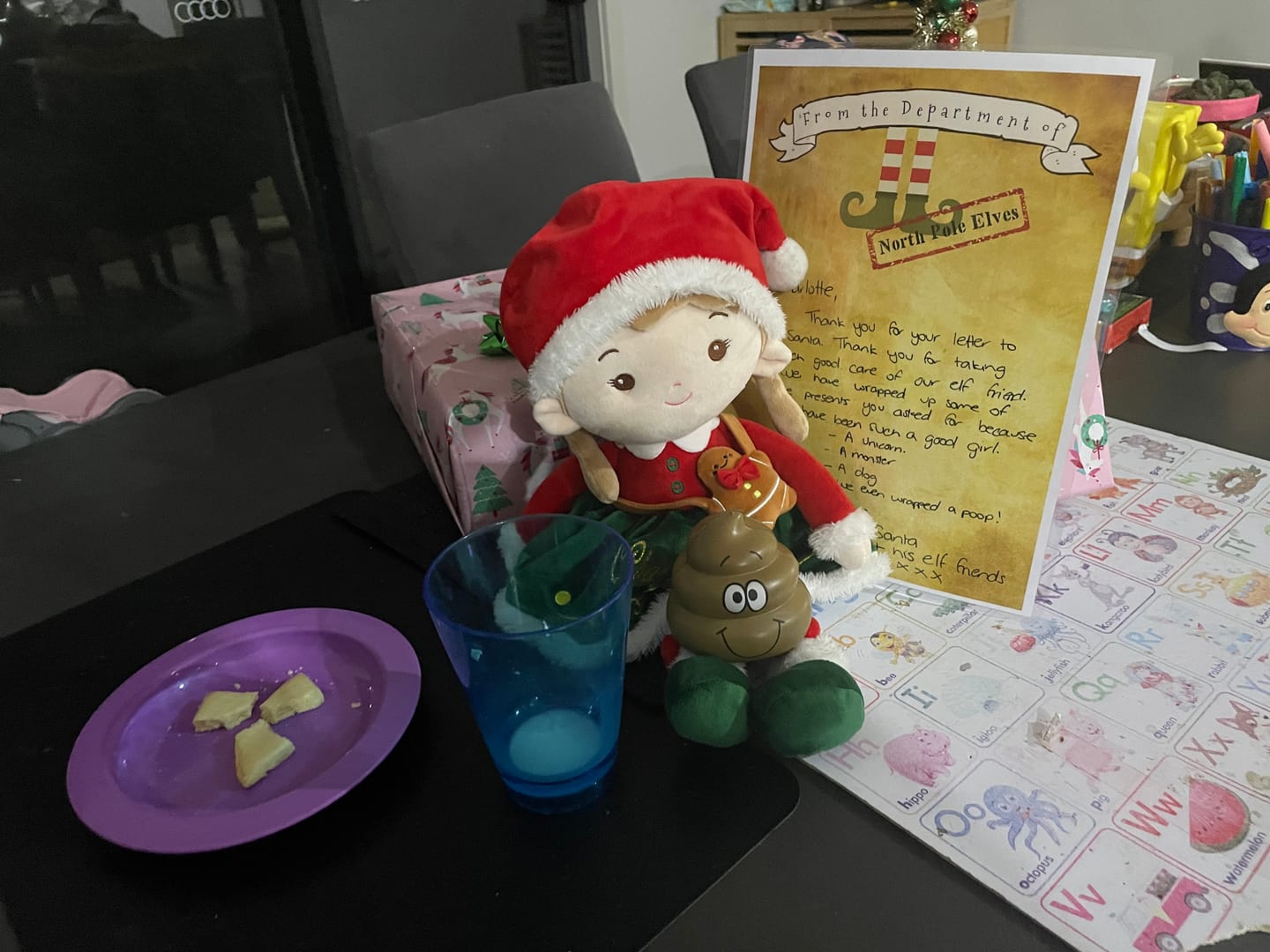 Customer photo review of Personalized Natalie the Elf - Christmas Special