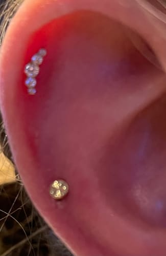 Customer photo review of DIXI Curved Cartilage Stud - Threadless