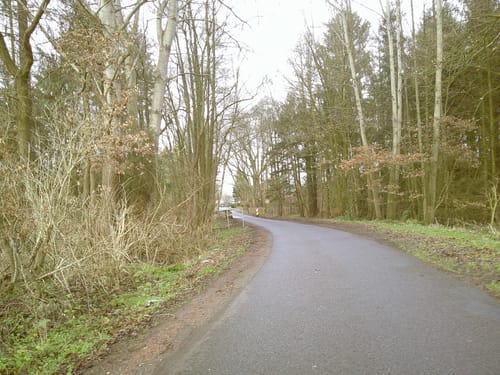 Customer photo review of NUVINT - Digitalkamera