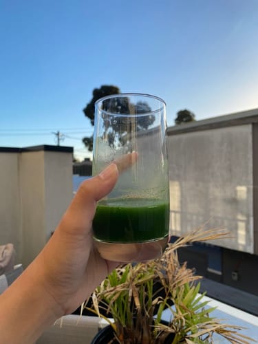 Customer photo review of Certified Organic Australian Barley Grass