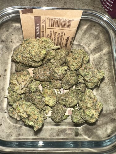 Customer photo review of Spritzer