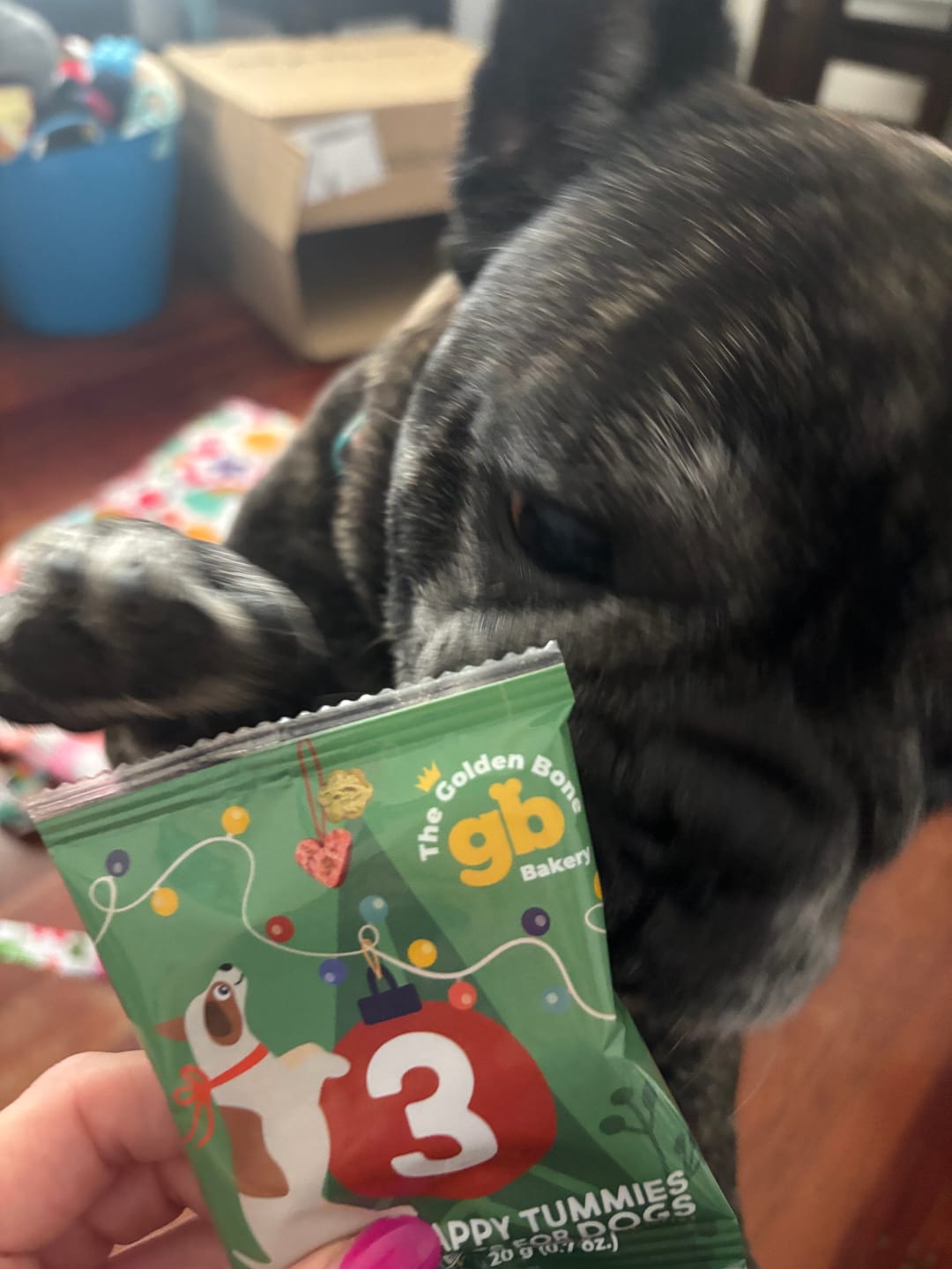 Customer photo review of Advent Calendar Christmas TOWER Dog Treats  - PREORDER NOW!