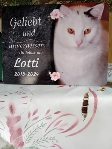 Customer photo review of Katzen Gedenktafel mit Foto & Spruch (UV- & Wetterfest)