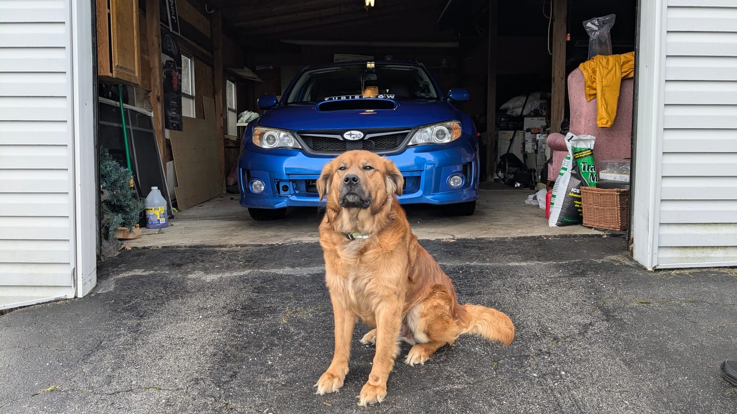 Customer photo review of SubieFlow Windshield Banners