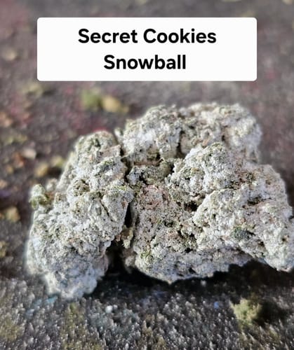 Customer photo review of Gold Spectrum THCA Flower - Snowball of the Month