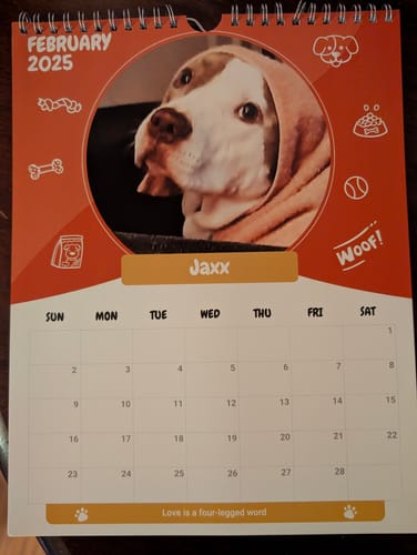 Customer photo review of PUPVOTE: 2025 Cutest Pet Calendar (Official Edition)