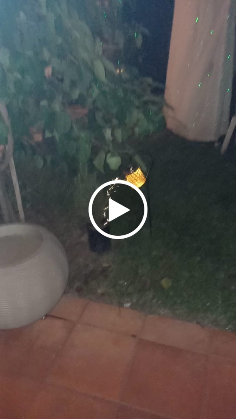 Customer video review of Luz Solar Sun Glass para Jardin