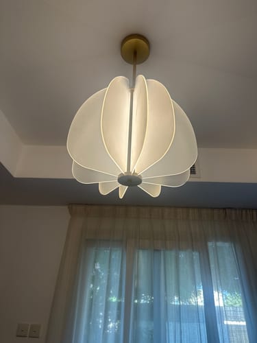 Customer photo review of Aluminum Pendant Lamp CY-DD- 1042