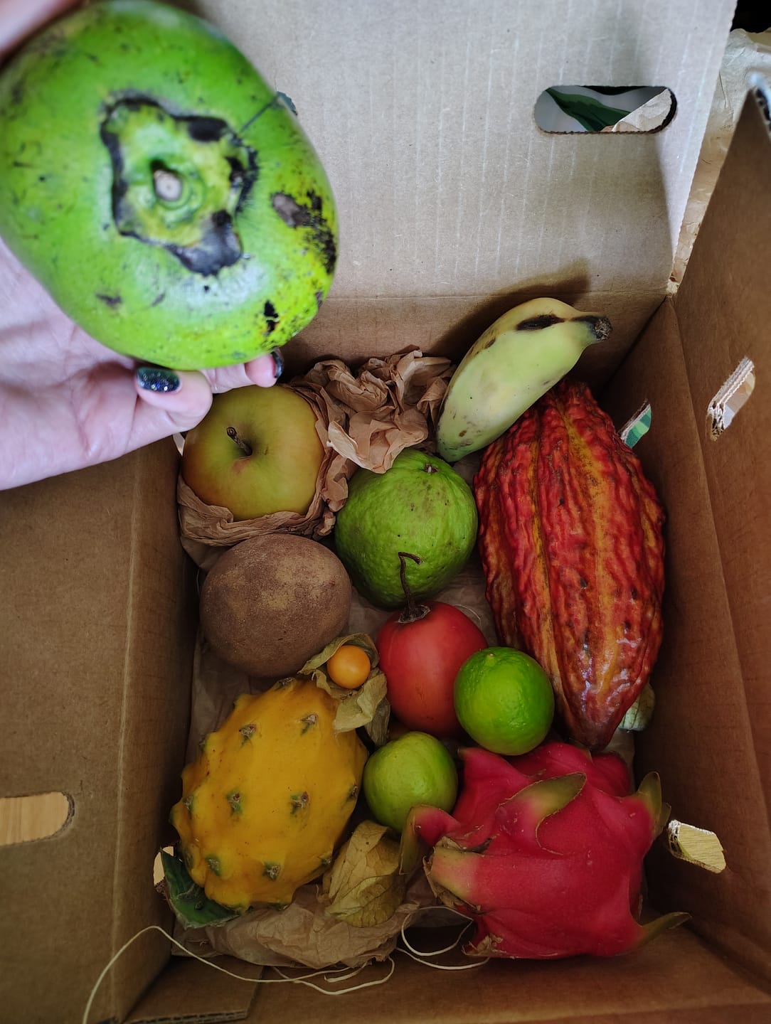 Customer photo review of Florida Residents Club Box