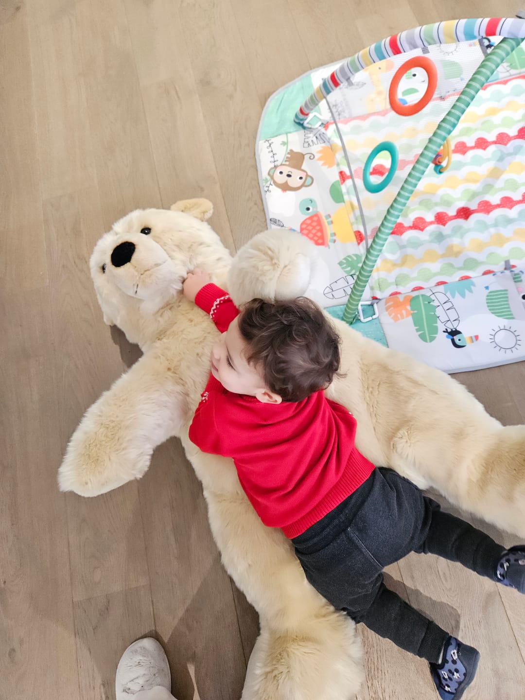 Customer photo review of Ma peluche Ours Jules