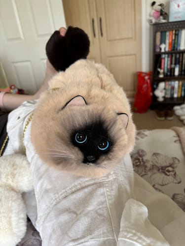 Customer photo review of Fluffy Siamese Cat Bag Cat Purse