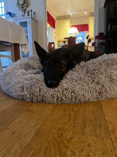 Customer photo review of CalmBed - Motverkar stress & hjälper mot ångest