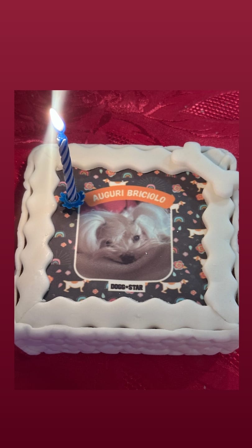 Customer photo review of Fotogenica 2 Torta Per Cani con Fotografia e Messaggio