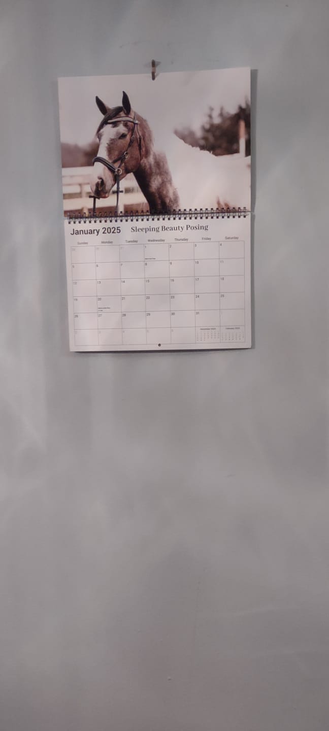 Customer photo review of Free Spirit Equestrian 2025 Calendar