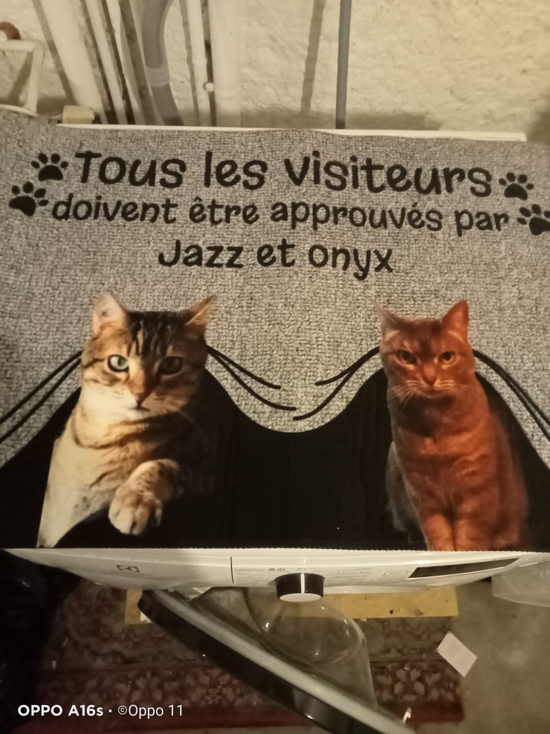 Customer photo review of Visiteur approuvé - Paillasson personnalisé