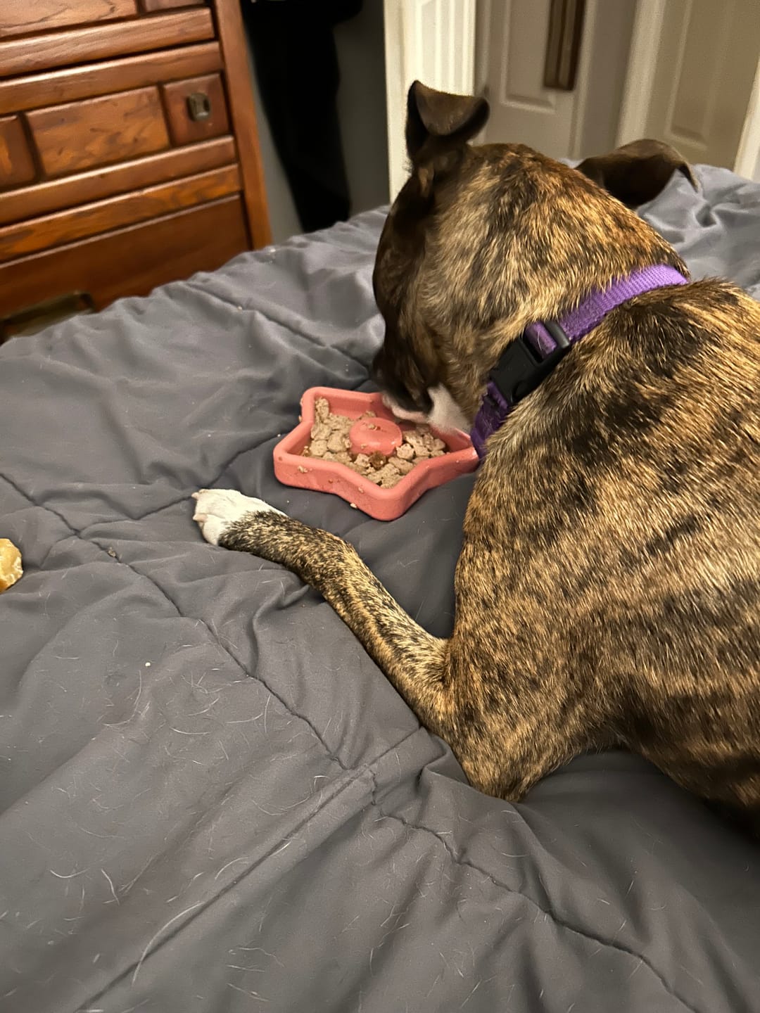 Customer photo review of FreezStar - Long-Lasting Star Chew