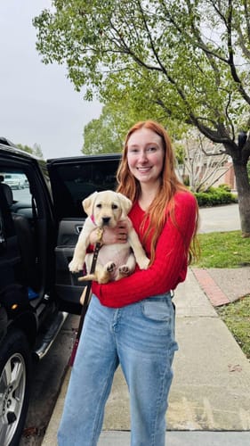 Customer photo review of Biothane Traffic Handle Dog Leash