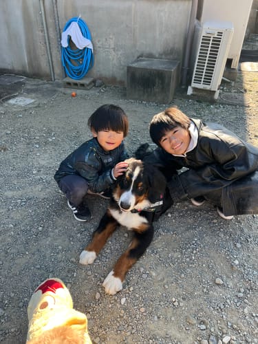 Customer photo review of 【プレミアム版】FunFunPet 高機能ハーネス （お名前タグ作成サービス付き）