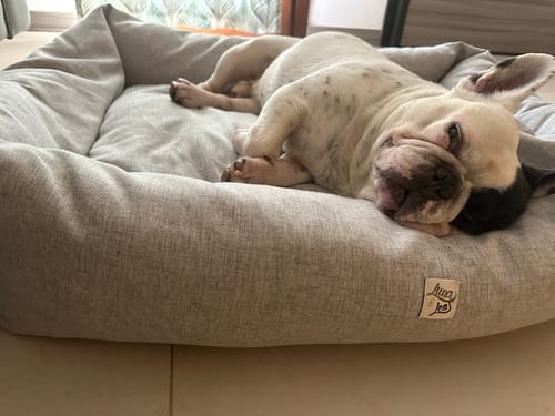 Customer photo review of Cover Mattias Beige