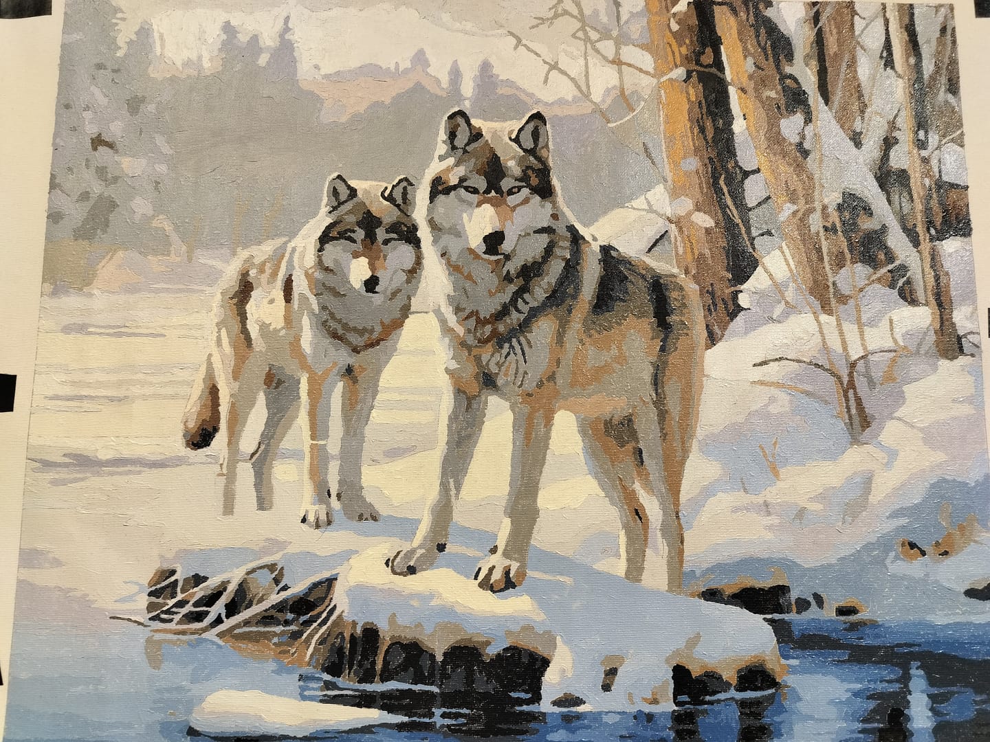 Customer photo review of Snow Wolves