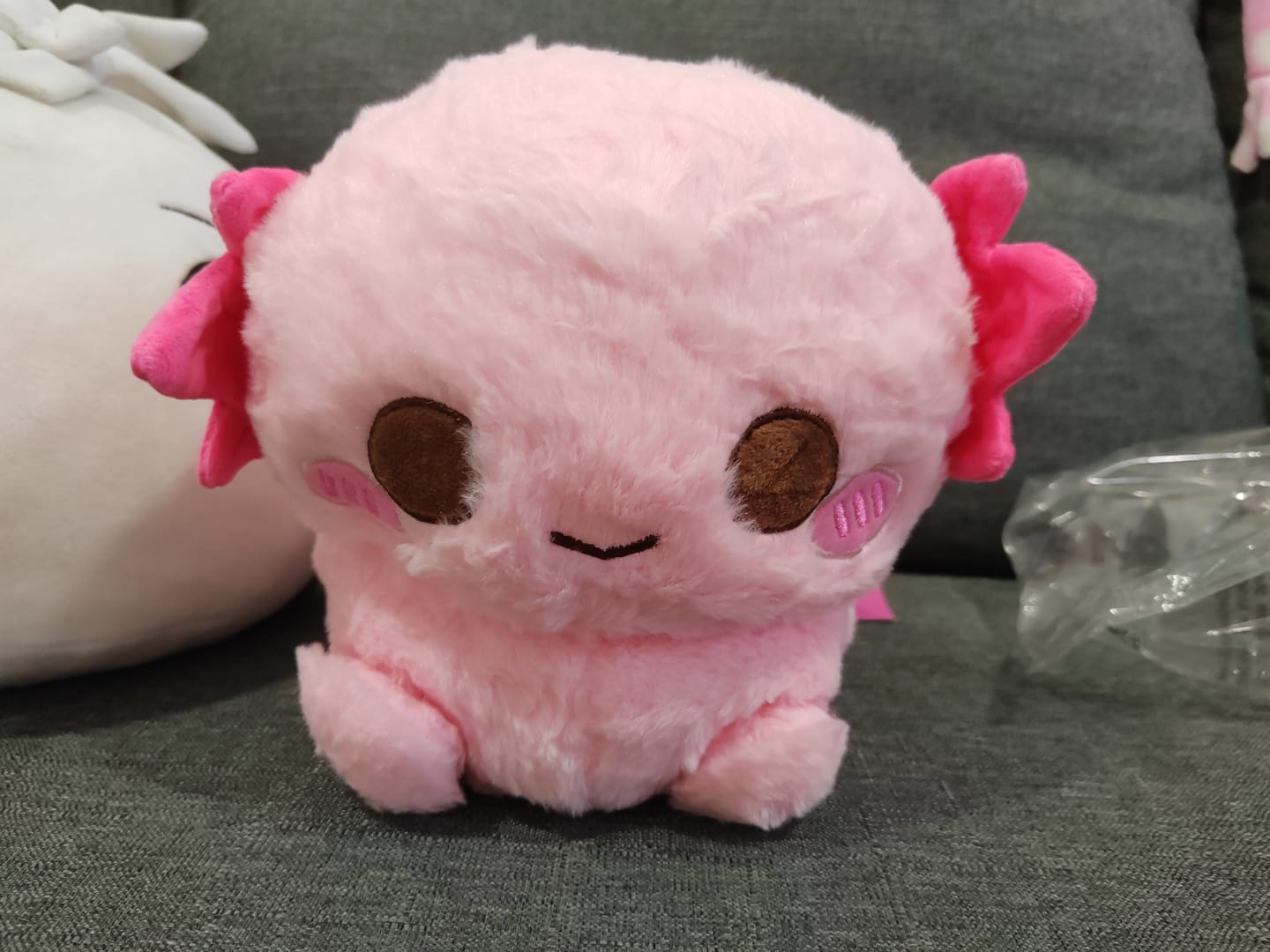 Customer photo review of Xoxi The Axolotl Plushie