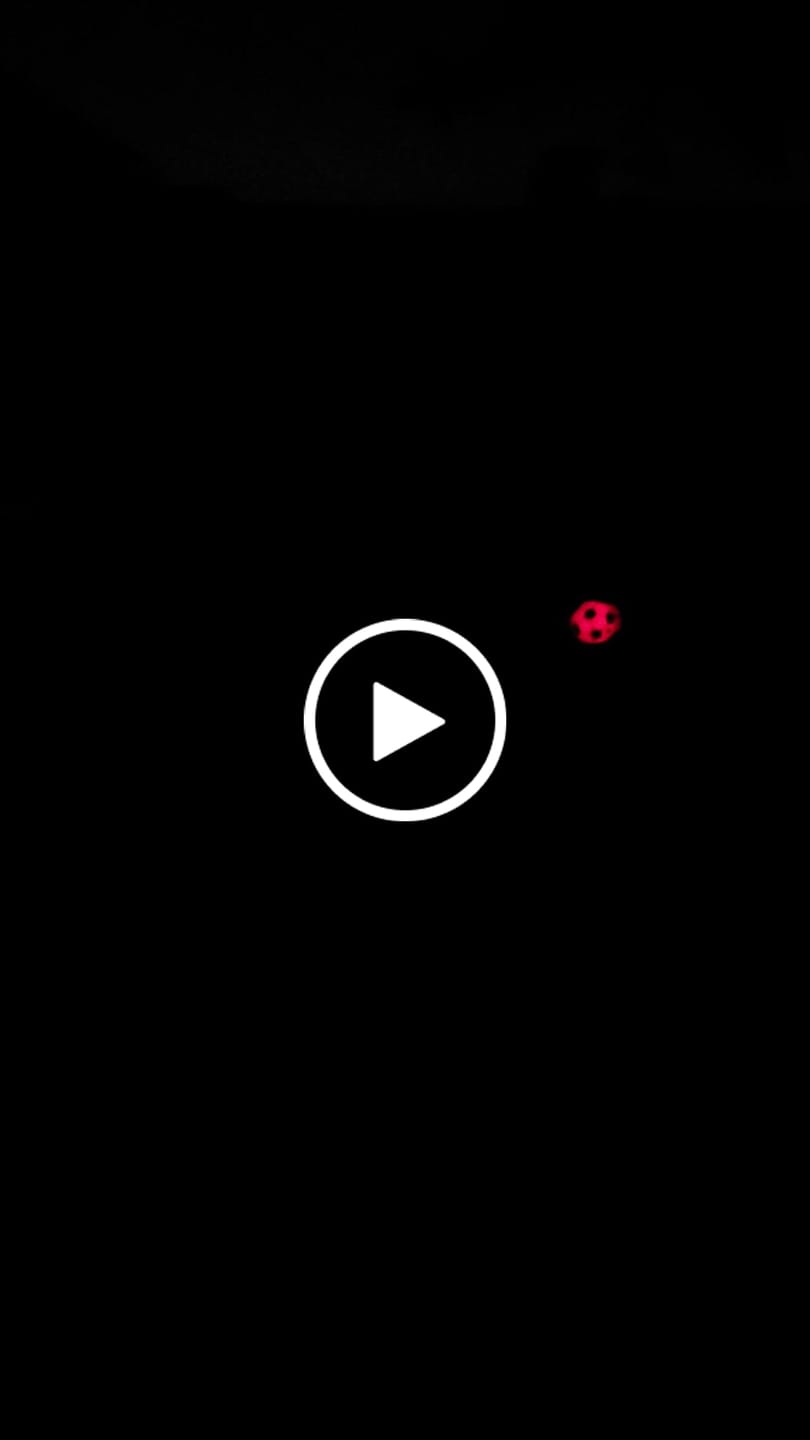 Opinión en vídeo de un cliente sobre el balón de fútbol luminoso LedsMove™