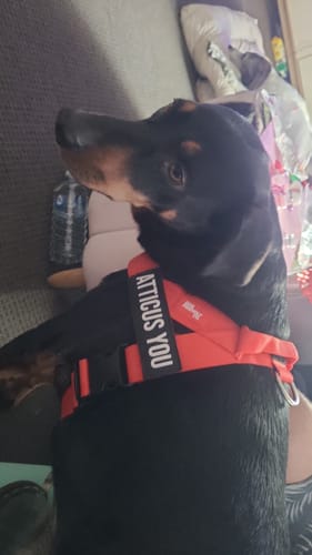Customer photo review of Custom Name Patches
