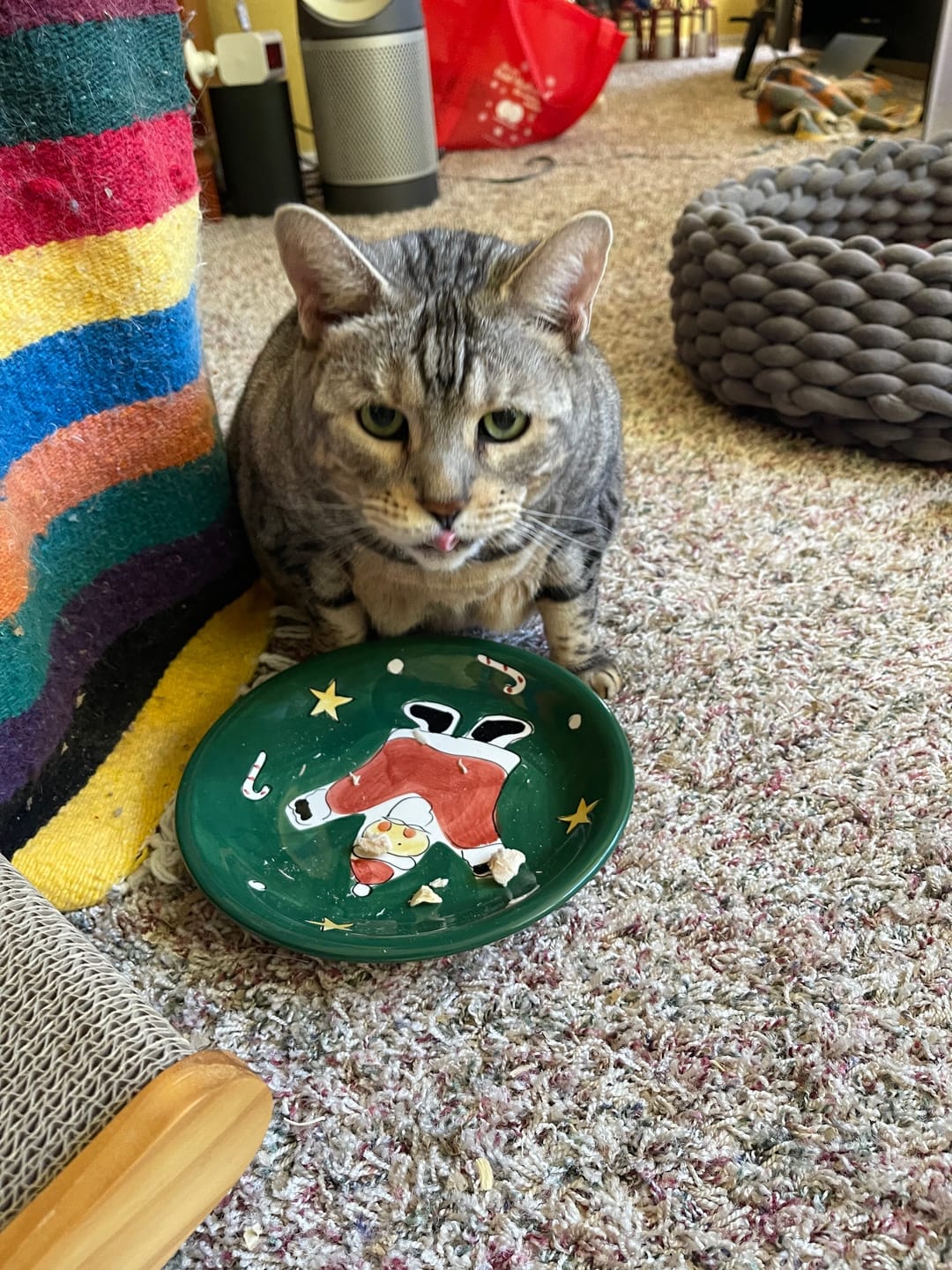 Customer photo review of Freeze Dried Chicken Treats 4oz