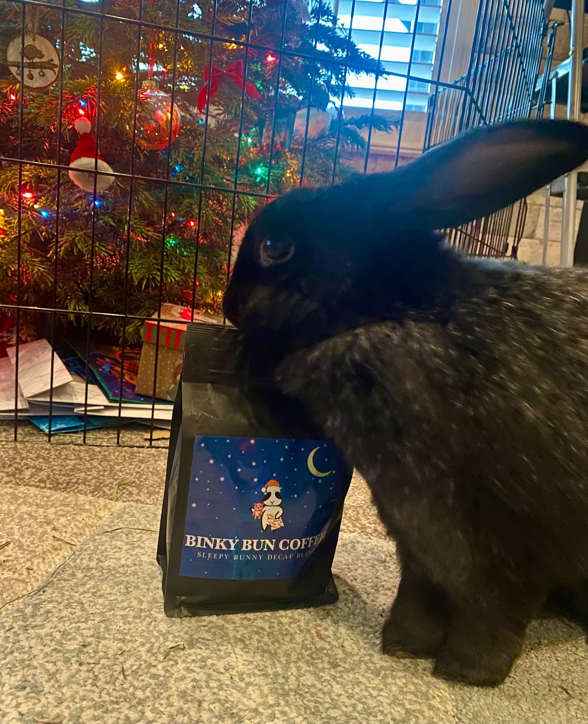 Customer photo review of Sleepy Bunny Decaf Blend (Ground)