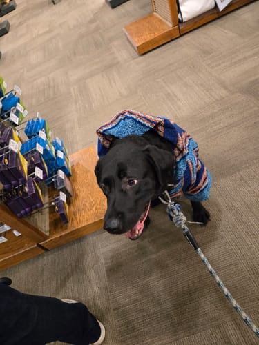 Customer photo review of Free & Easy Return or Exchange Coverage + Package Protection