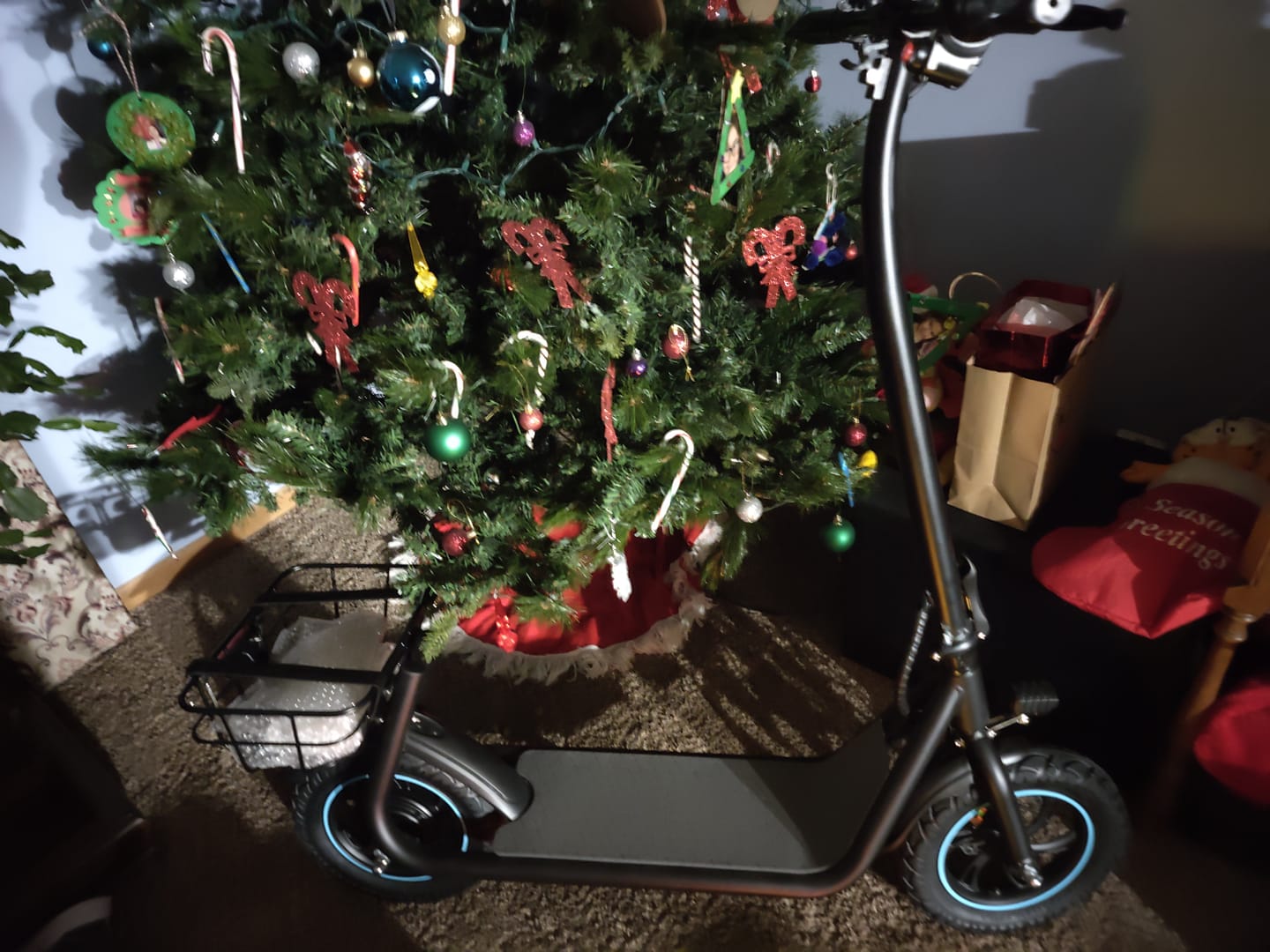 Customer photo review of Gyroor X2 Electric Scooter 550W with 12 Inch Tires without Seat—UL2272