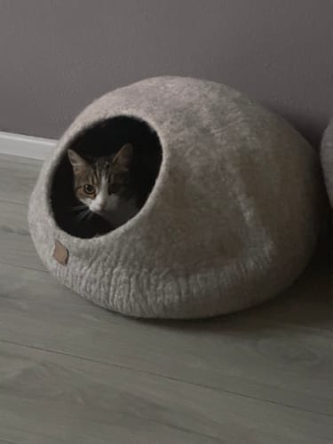 Customer photo review of Premium Kattenhol