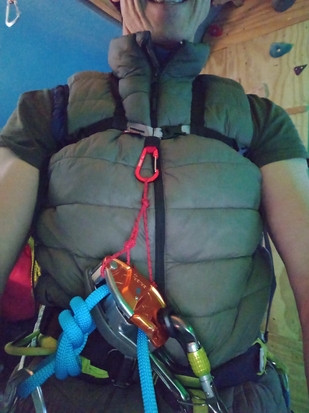 Customer photo review of LRS Chest Harness