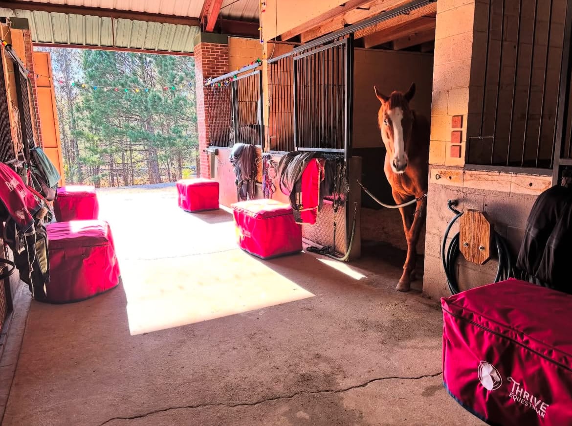 Customer photo review of Custom Tack Trunk Cover- For any Standard Size Trunk