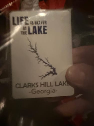 Customer photo review of Custom Lake Playing Cards
