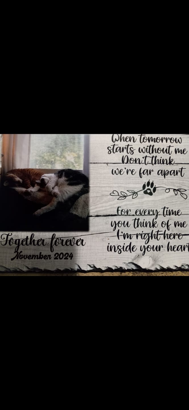 Customer photo review of Pet Loss Gift Personalized Cat Memorial Plaque   When tomorrow starts without me   Personalized Keepsake