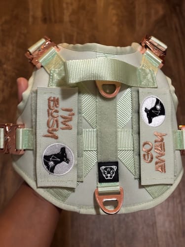 Customer photo review of HNTR 3.0 Dog Harness - Honeydew