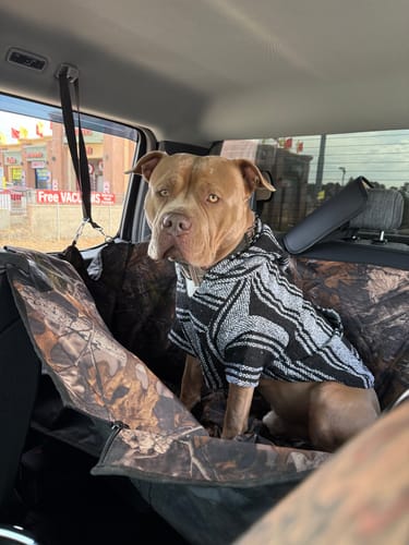 Customer photo review of Playa Poncho - Surprise Color