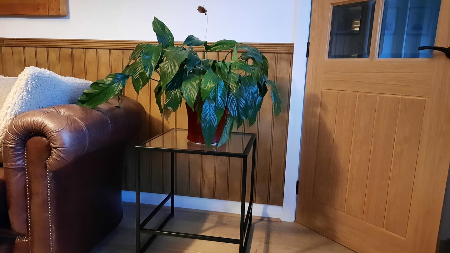 Customer photo review of Aria Glass Metal Nesting Side Tables - Black