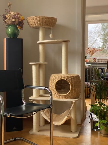 Customer photo review of Arbre à Chat - Coin Câlin