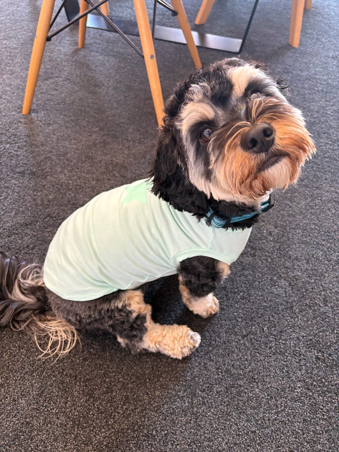 Customer photo review of Tank Top - Eve
