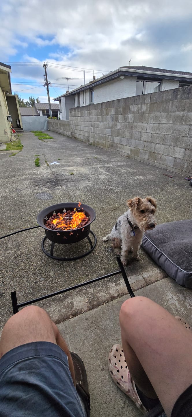 Customer photo review of Portable Outdoor Gas Fire Pit