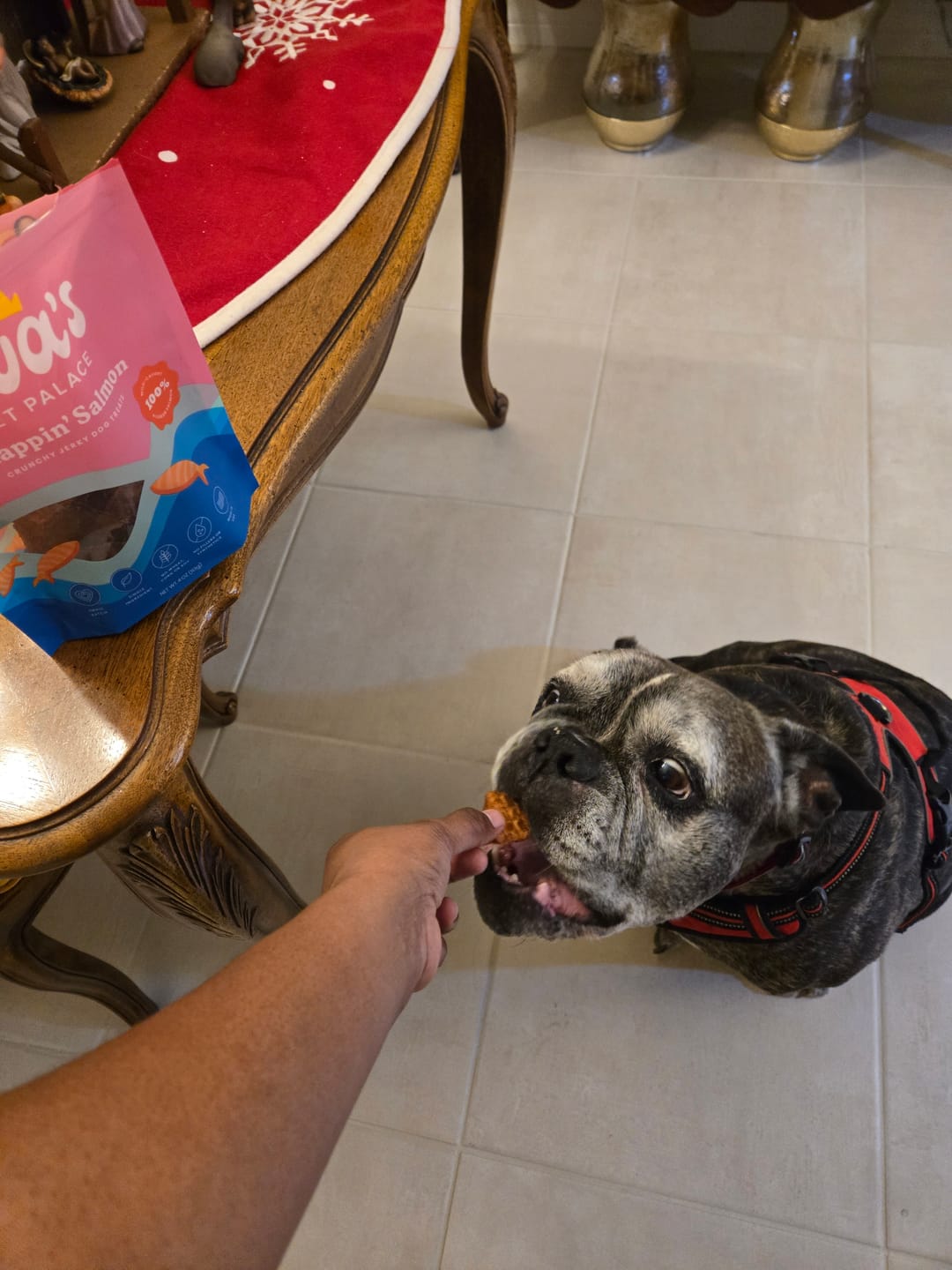 Customer photo review of Crunchy Jerky Dog Treats - Snappin' Salmon